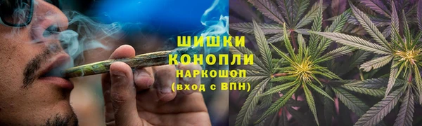 apvp Аркадак