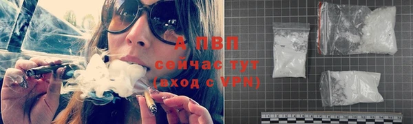 apvp Аркадак