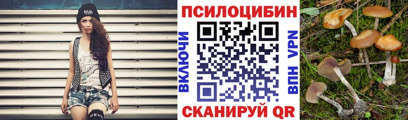 это какой сайт  Кыштым  Псилоцибиновые грибы GOLDEN TEACHER 